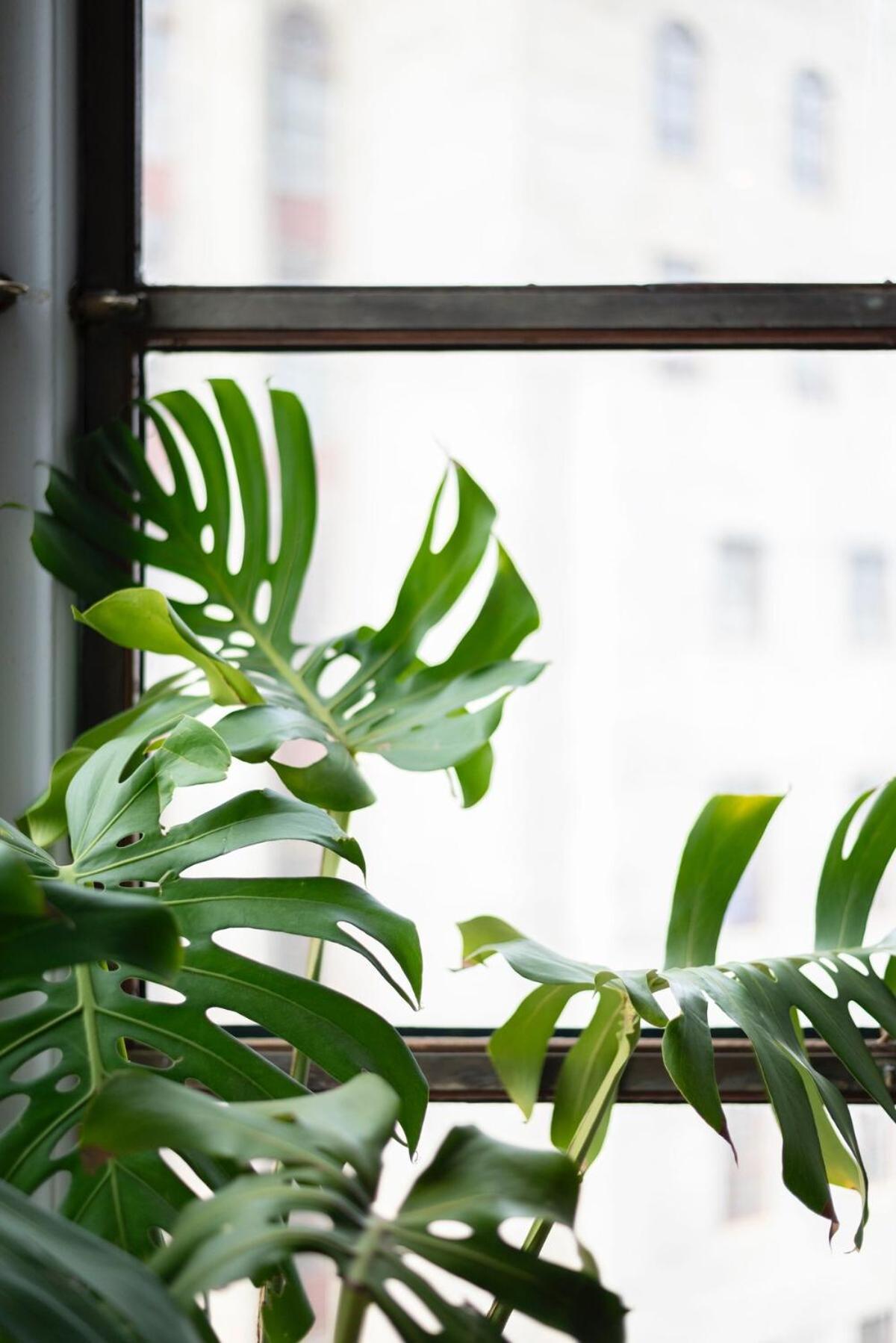 One Bedroom Loft In Darling Street Apartamento
